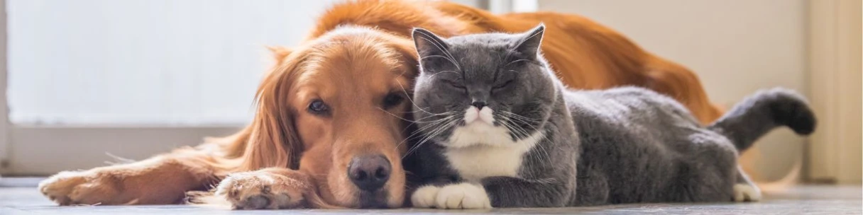 EFM Métiers Animaliers