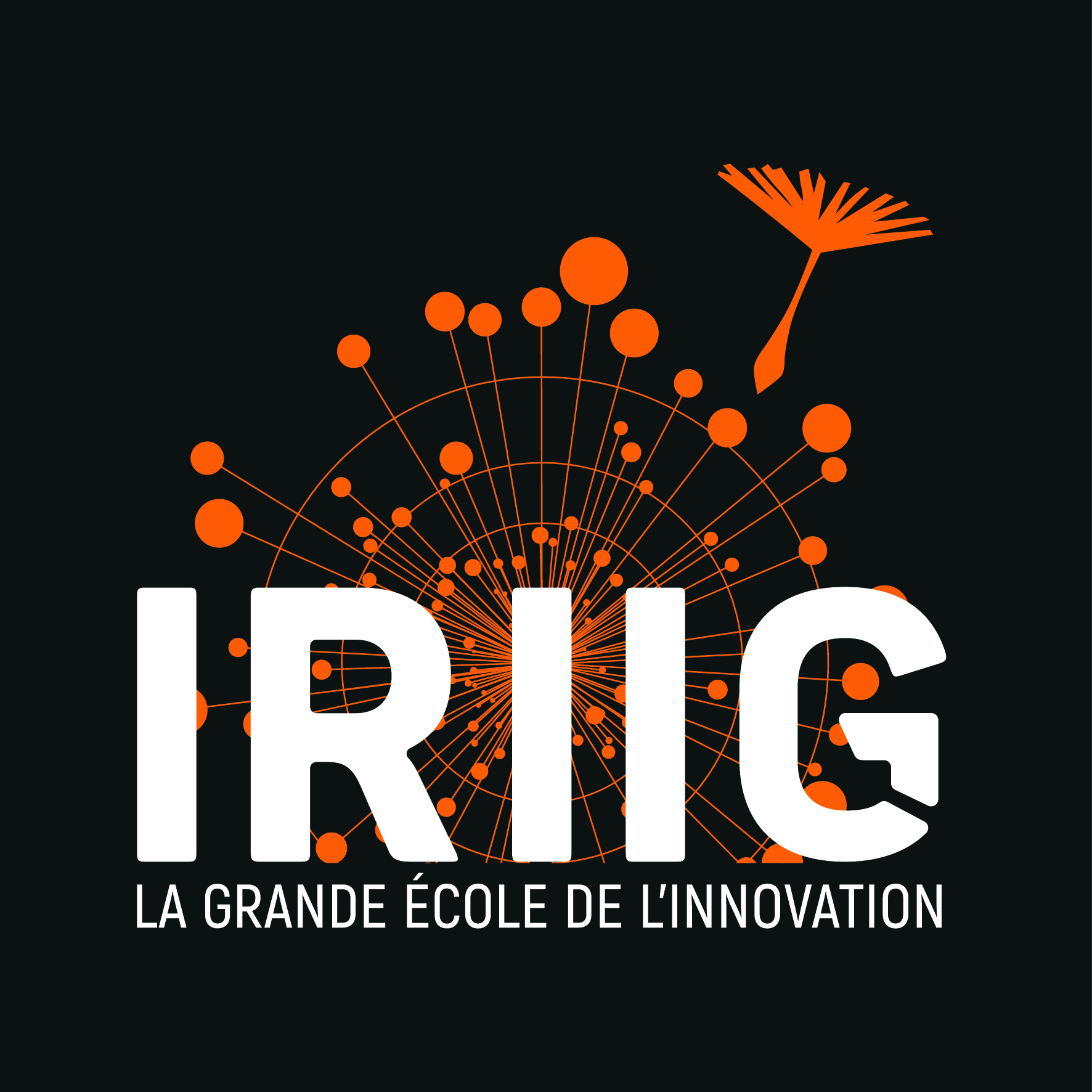 IRIIG - La Grande École de l'Innovation